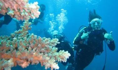 Amazing and Exciting Diving Tour for 2 Person in Bali, Indonesia