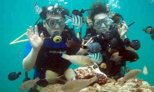 Amazing and Exciting Diving Tour for 2 Person in Bali, Indonesia