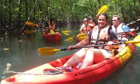 Passeios de caiaque em mangue em Langkawi