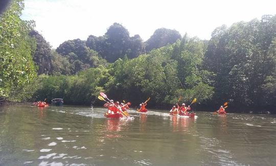 Passeios de caiaque em mangue em Langkawi