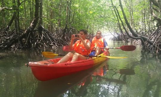 Passeios de caiaque em mangue em Langkawi