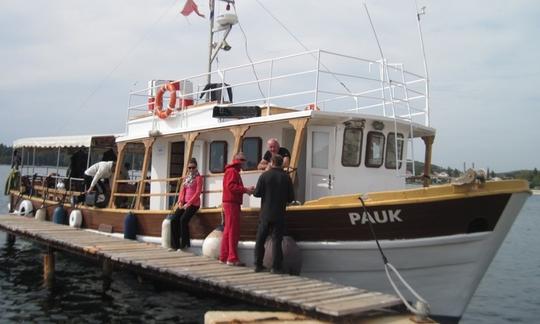 Passeios de mergulho em barco 'Pauk' em Rovinj - Croácia