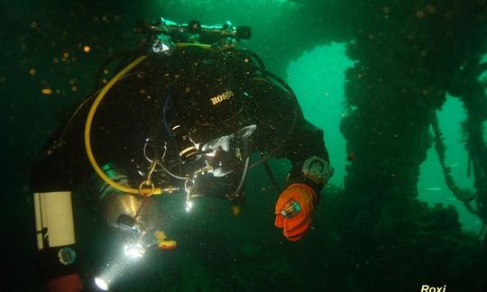 Passeios de mergulho em barco 'Pauk' em Rovinj - Croácia