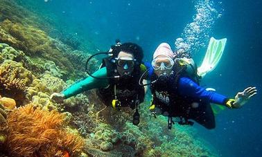 Excursions de plongée fantastiques sur le paradis corallien de Bali