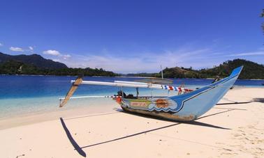 Passenger Boat Trips (10 people) in Indonesia