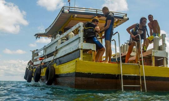 Explorez les magnifiques coraux de Sihanouk, au Cambodge