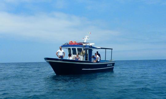 Tour con delfines en Vibo Valentia