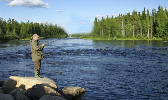 Excursion guidée de pêche à la mouche à Rovaniemi