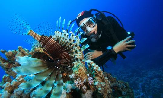 Discover the underwater scenery in Unawatuna, Sri Lanka