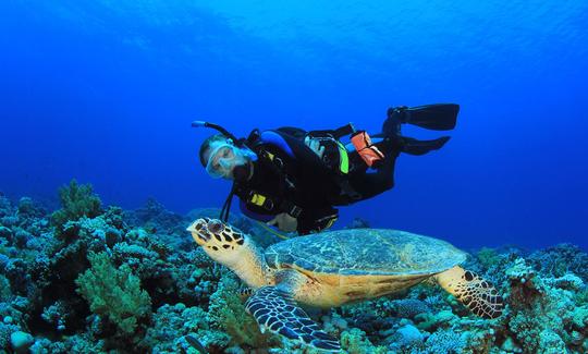 Discover the underwater scenery in Unawatuna, Sri Lanka