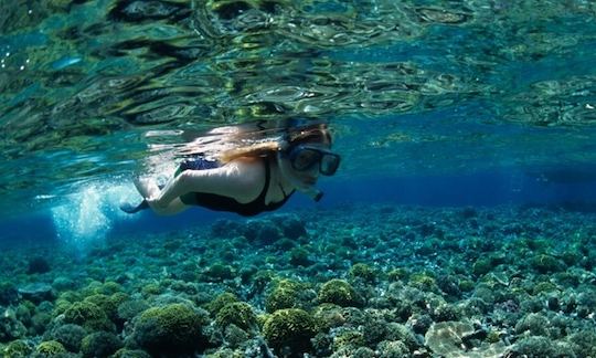 Affordable and Exciting Snorkeling Tour in Sri Lanka with Jishan