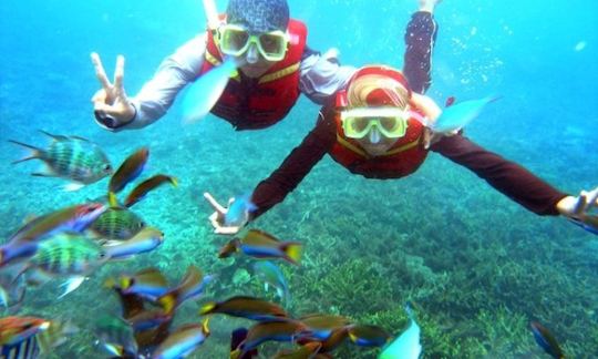 Affordable and Exciting Snorkeling Tour in Sri Lanka with Jishan