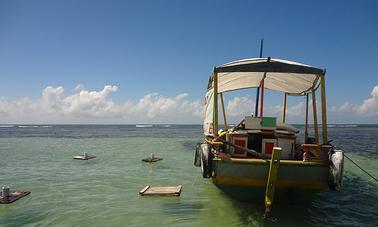 Eco Tour Package in Morro de São Paulo, BA