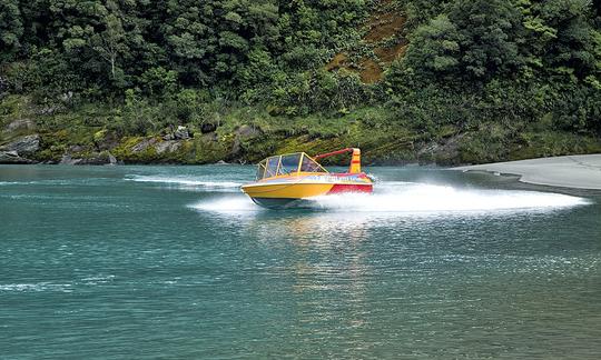 15-Seater Jet Boat Tour in Jackson Bay