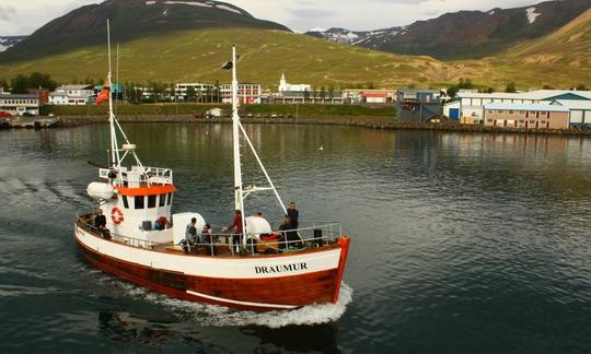 Observation des baleines à Dalvík