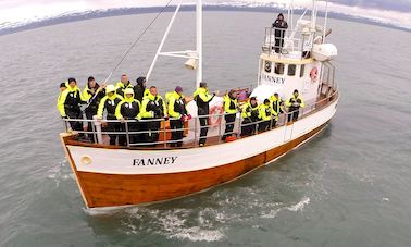 Whale Watching in Húsavík