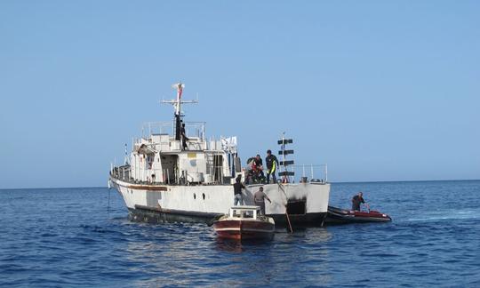 Cruzeiros de mergulho a bordo do barco de mergulho SG121 para 15 pessoas em Yanıklar Köyü, Turquia