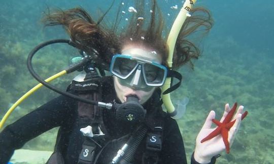 Scuba Diving Lessons in Peyia