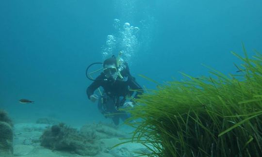 Scuba Diving Lessons in Peyia