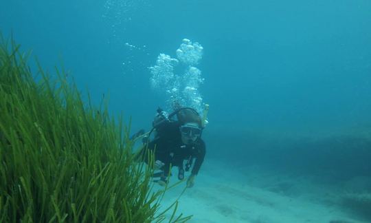 Scuba Diving Lessons in Peyia