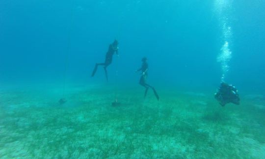 Diving in Paralimni