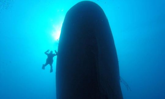 Diving in Paralimni