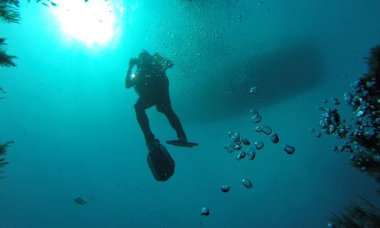 Diving in Paralimni