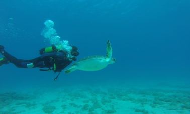 Diving in Paralimni