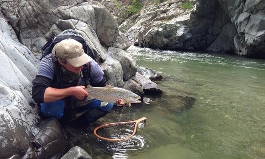 Viagem de pesca com mosca no interior de Christchurch