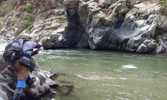 Viagem de pesca com mosca no interior de Christchurch