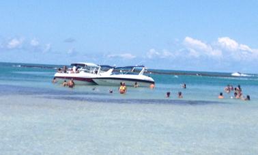 Day Tour in Morro de SP, Around Tinharé Island