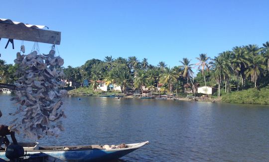 Passeio de um dia em Morro de SP, ao redor da Ilha de Tinharé