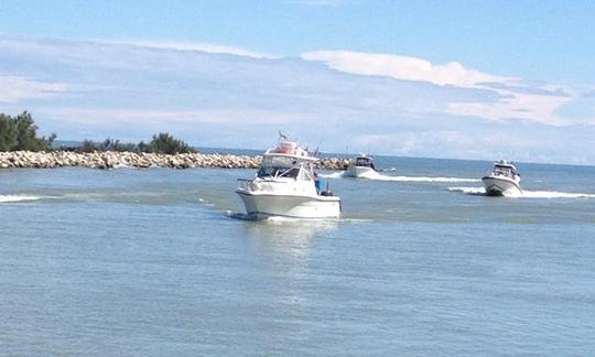 Alquiler de barcos de pesca deportiva en Porto Tolle