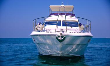 Charter on 64ft "Red Rose" Catamaran in Dubai, United Arab Emirates