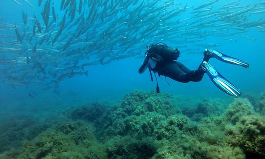 Viagens e cursos de mergulho em Ustica