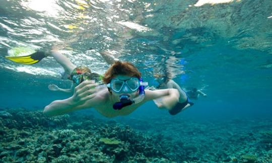 Snorkeling Tours in the Coral Rich Dive Sites in Bentota, Sri Lanka