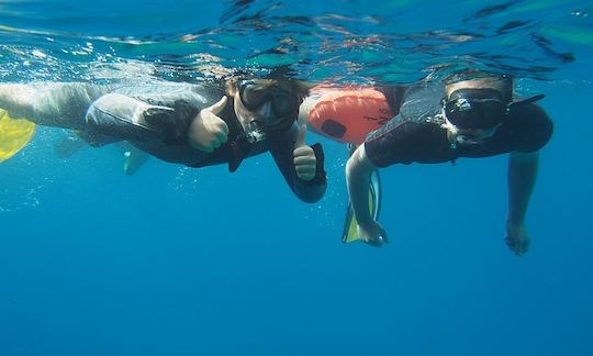 Scuba Lessons and Snorkelling in Chania