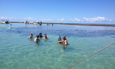 Visite écologique privée autour de l'île de Tinhare