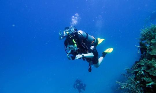 Snorkeling 46ft Newton  Dive/ Passenger Boat In Fajardo, Puerto Rico