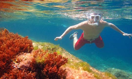 Snorkeling Tours in Alcúdia