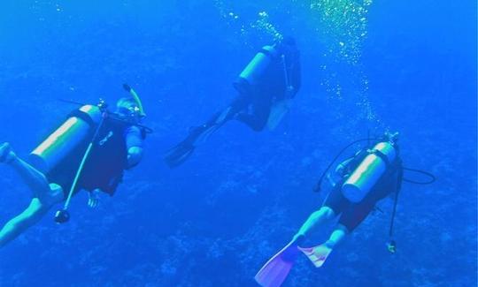 Viajes de buceo en Port Howe, Bahamas