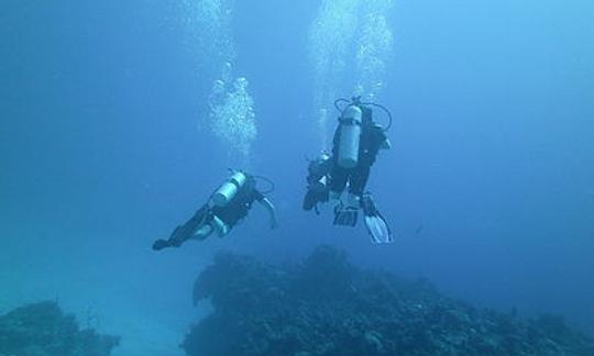 Viajes de buceo en Port Howe, Bahamas