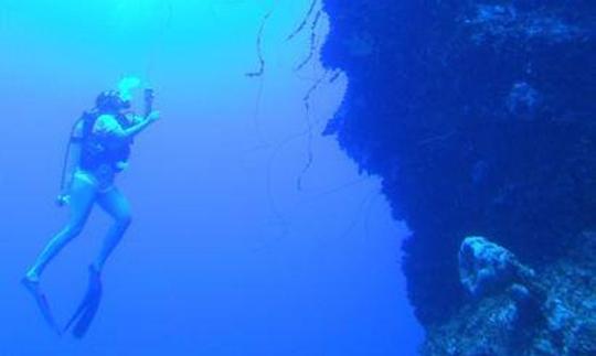 Viajes de buceo en Port Howe, Bahamas