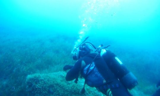 Excursions de plongée et cours de plongée sous-marine à Poli Crysochous