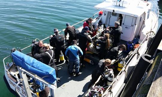 MV. Viagens de mergulho costeiro em Saint Abbs