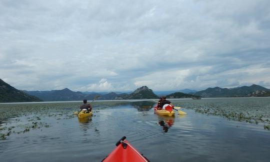 Amazing Kayak Tour with the Local Guides in Kotor, Montenegro