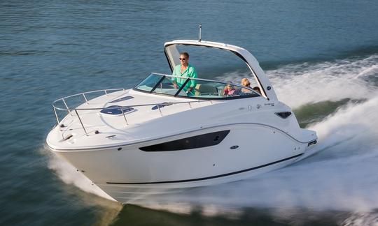 Sea Ray Sundancer de 27 pieds, capitaine et carburant inclus