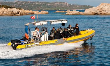 Passeios e cursos de mergulho em barco 'Blues II' em Arzachena