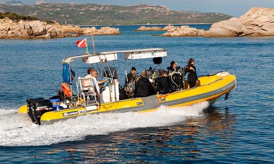 Passeios e cursos de mergulho em barco 'Blues II' em Arzachena