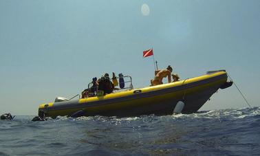 Viajes y cursos de buceo en Ustica, Palermo